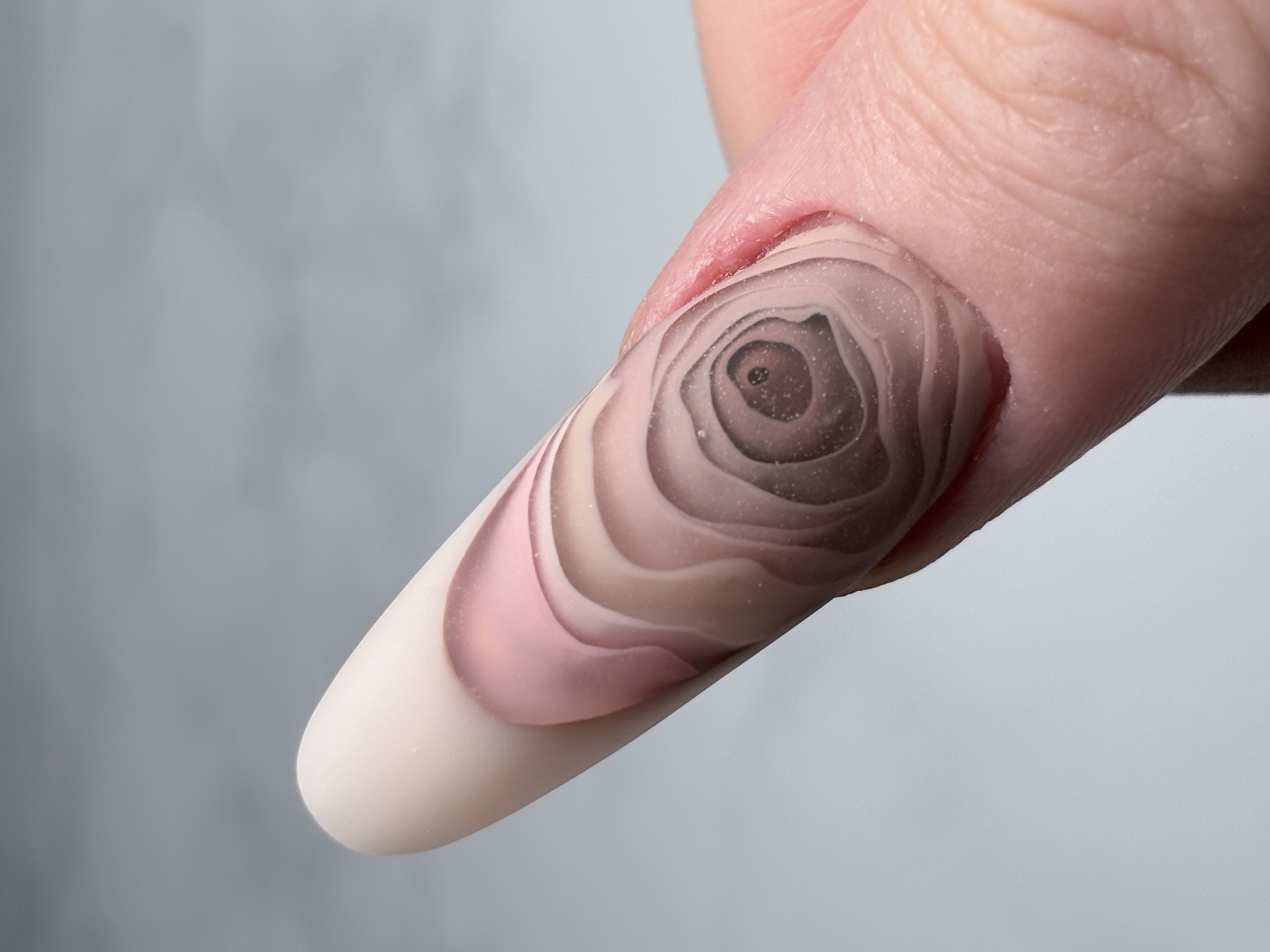 Sculptured Rose - Reverse French Oval Masterclass - Image 5